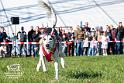 D_Foto Laudi_SO_Fruehlingsfest_Zeitlarn-206